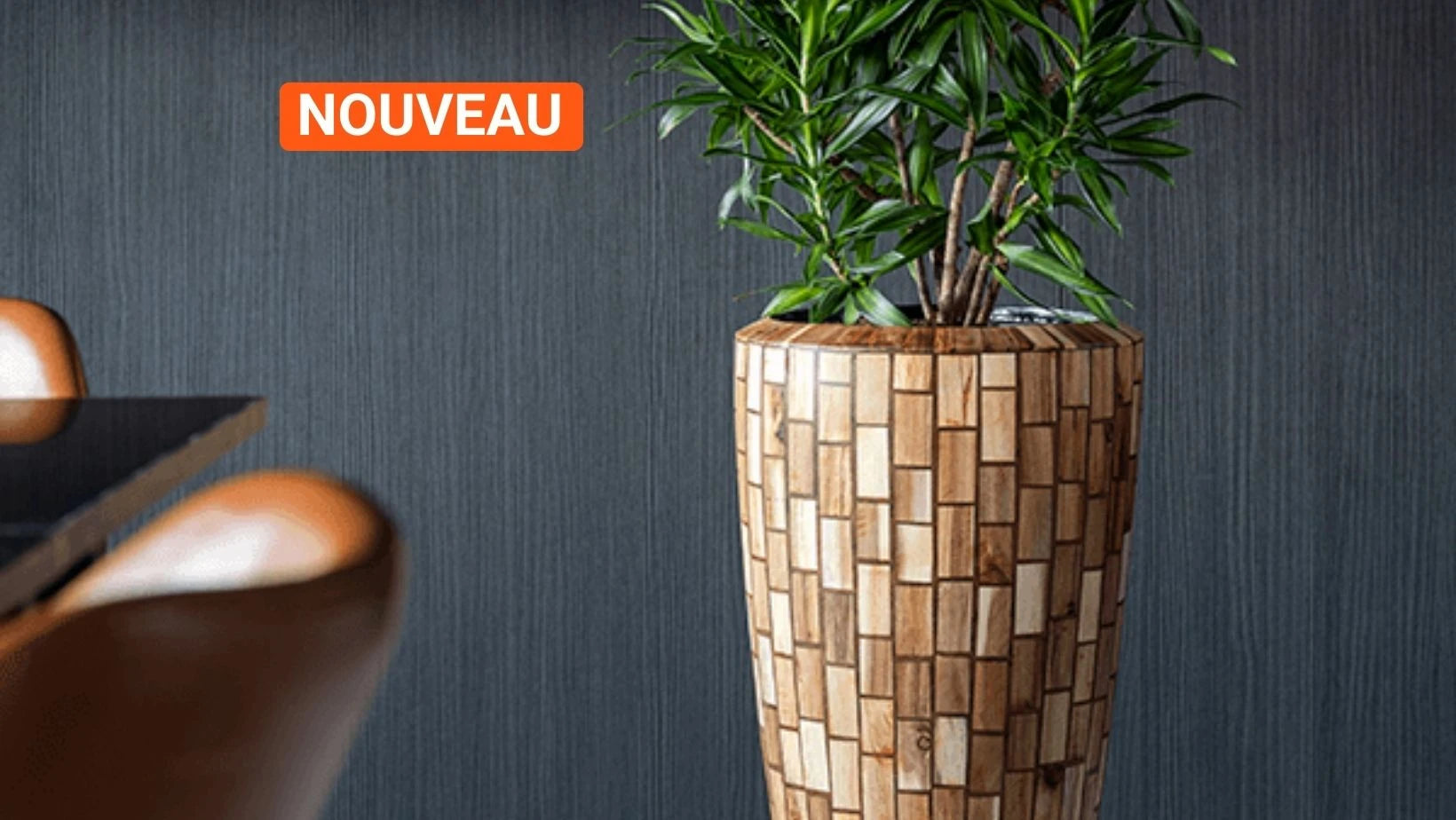 NOUVEAUTÉS – Boutique Biowork