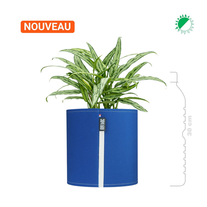Aglaonema MyBac 21 PLANTES ET POTS DE BUREAUX Bleu Location/entretien (HT/mois) 