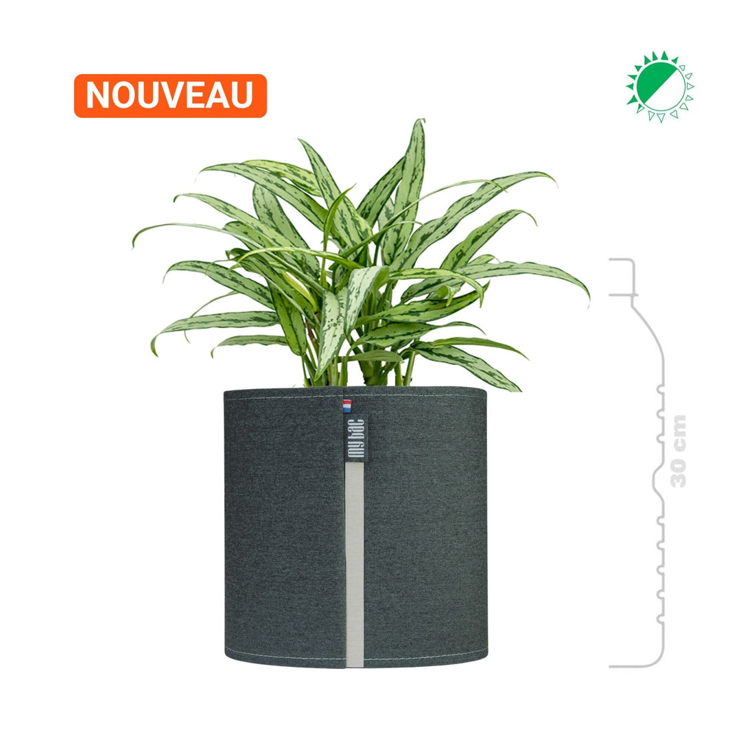 Aglaonema MyBac 21 PLANTES ET POTS DE BUREAUX Graphite Location/entretien (HT/mois) 
