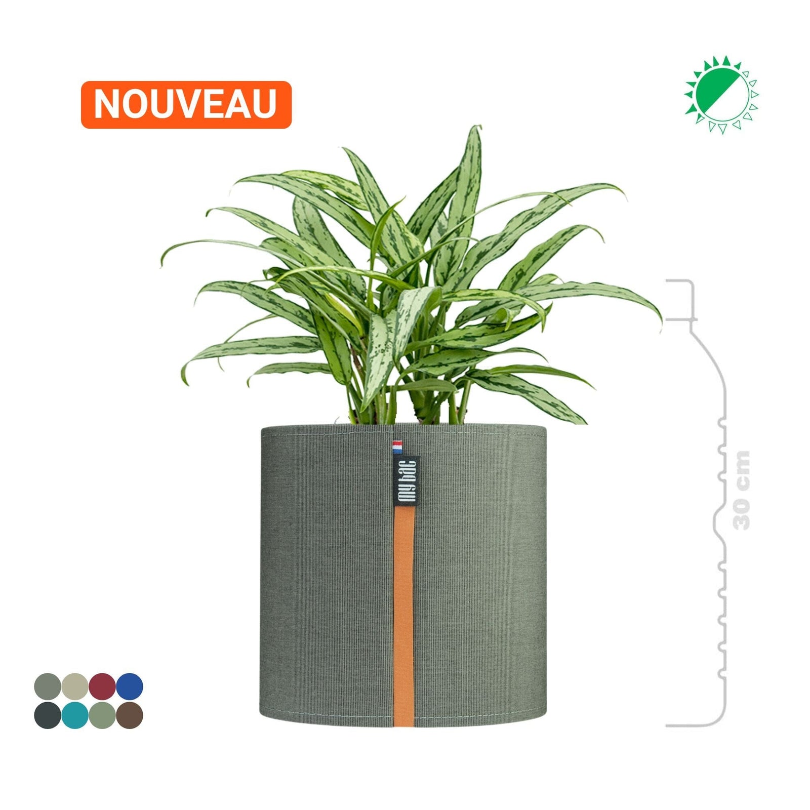 Aglaonema MyBac 21 PLANTES ET POTS DE BUREAUX Gris Location/entretien (HT/mois) 