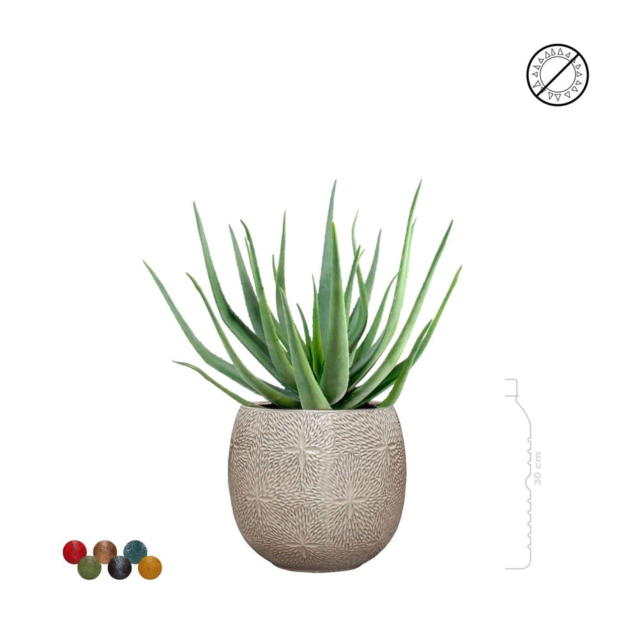 Aloe Marly30 PLANTES ARTIFICIELLES 