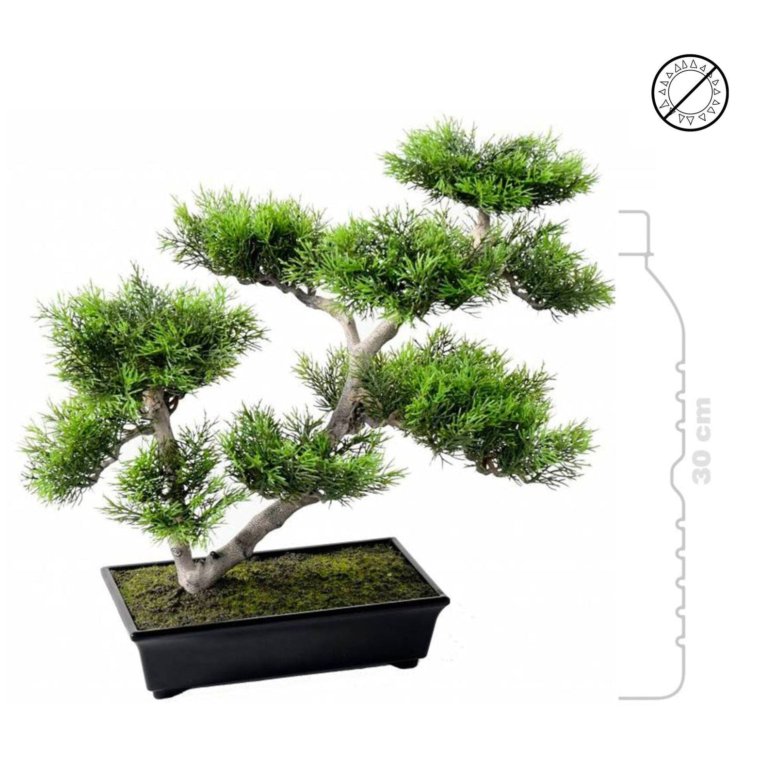 Bonsai pin nuage PLANTES ARTIFICIELLES 