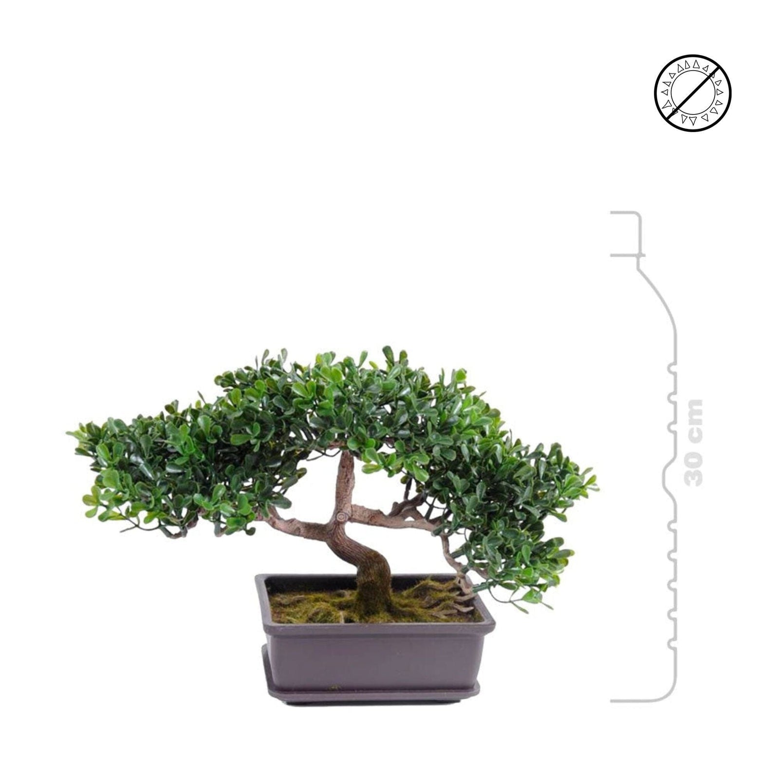 Bonsai thé mini PLANTES ARTIFICIELLES 
