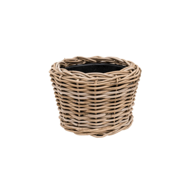 Dracaena combo Osier Rattan PLANTES ET POTS DE BUREAUX 