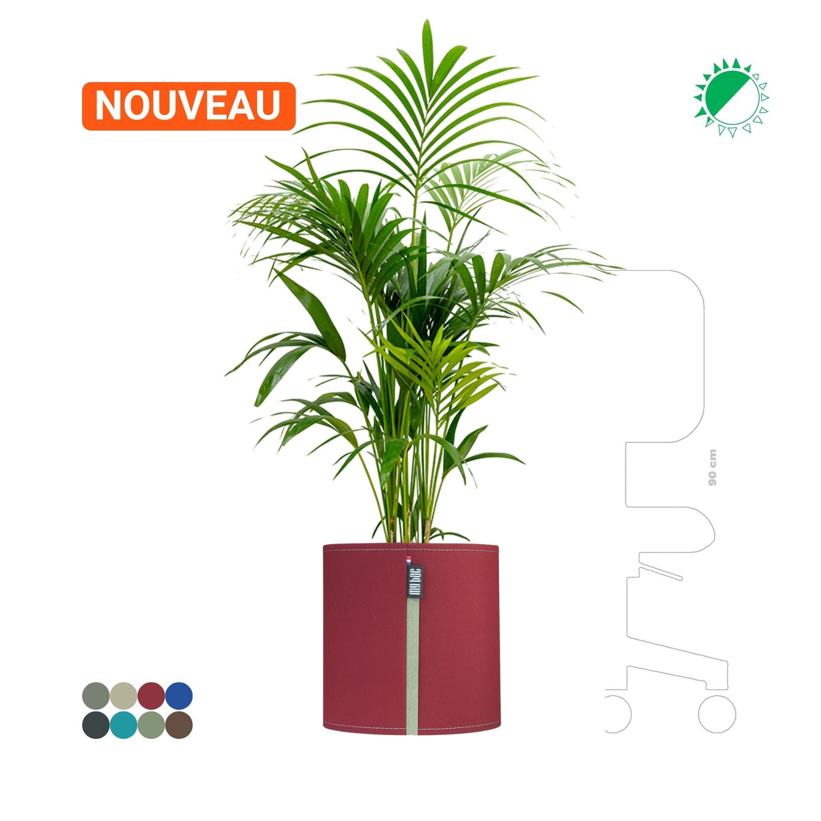 Kentia MyBac 40 PLANTES ET POTS DE BUREAUX Location/Entretien (HT/mois) Bordeaux 