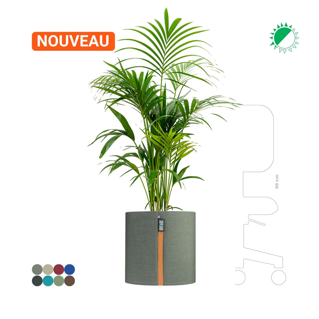 Kentia MyBac 40 PLANTES ET POTS DE BUREAUX Location/Entretien (HT/mois) Gris 