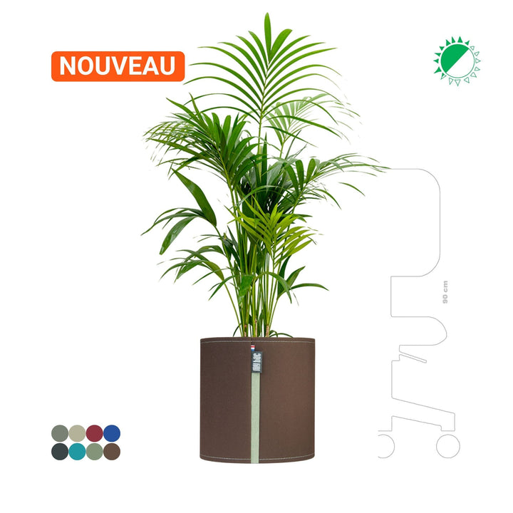 Kentia MyBac 40 PLANTES ET POTS DE BUREAUX Location/Entretien (HT/mois) Marron 