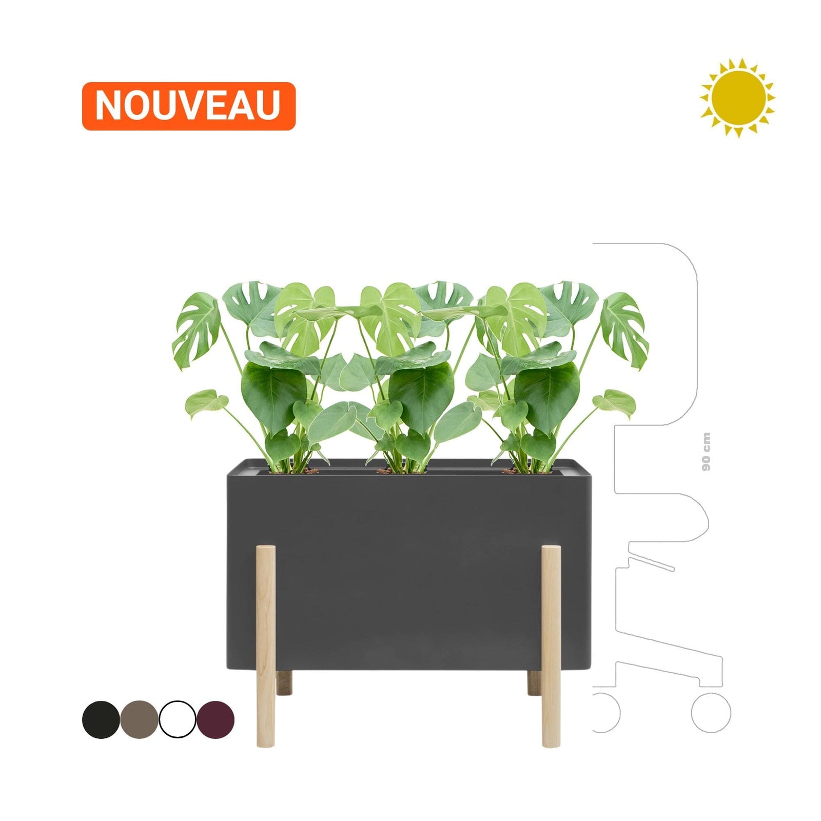 Monstera deliciosa Ashi Hobby Flower rectangle PLANTES ET POTS DE BUREAUX Location/Entretien (HT/mois) Noir 