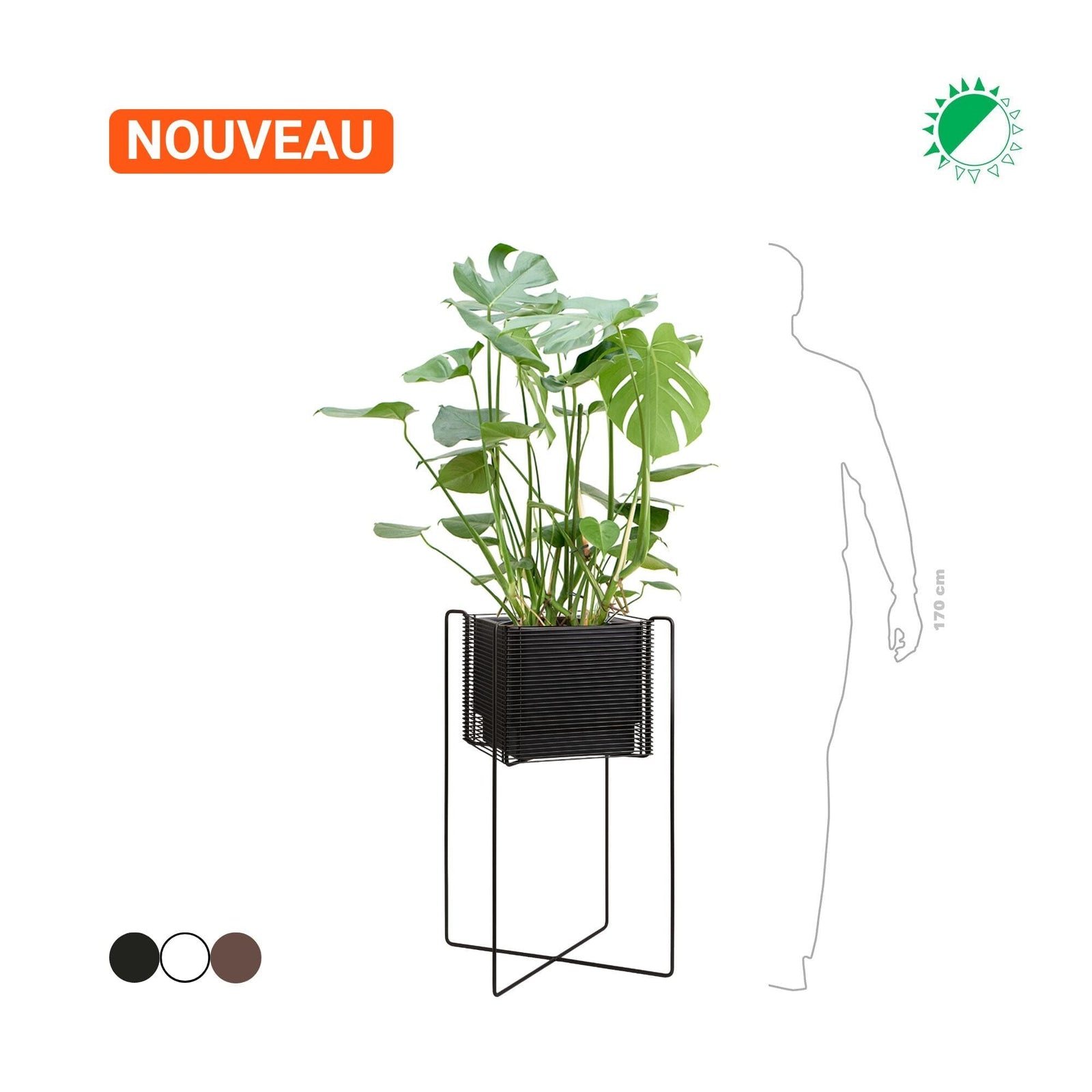 Monstera Hobby Flower Zen carré haut PLANTES ET POTS DE BUREAUX Location/Entretien (HT/mois) Noir 