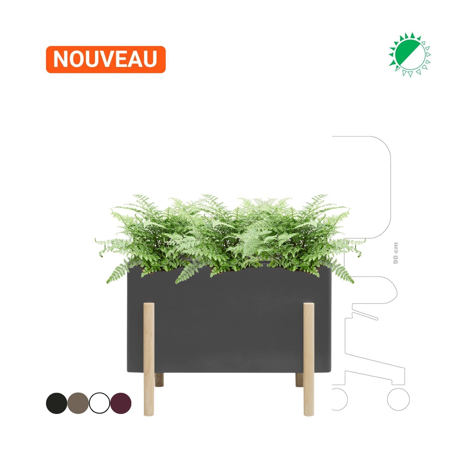 Nephrolepis Ashi Hobby Flower rectangle PLANTES ET POTS DE BUREAUX Location/Entretien (HT/mois) Noir 
