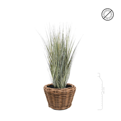 Onion Grass osier Rattan27 PLANTES ARTIFICIELLES Location/Entretien (HT/mois) Naturel 