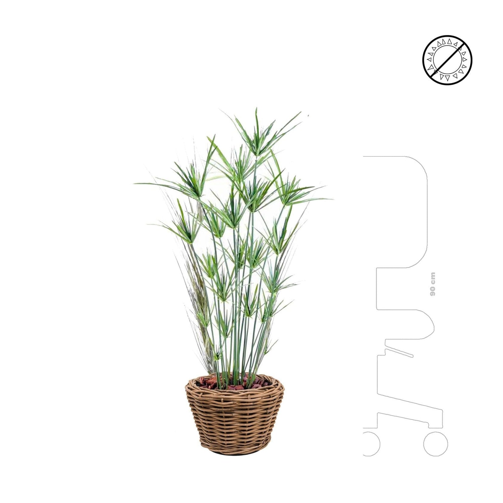 Papyrus Osier Rattan32 PLANTES ARTIFICIELLES Location/Entretien (HT/mois) Naturel 