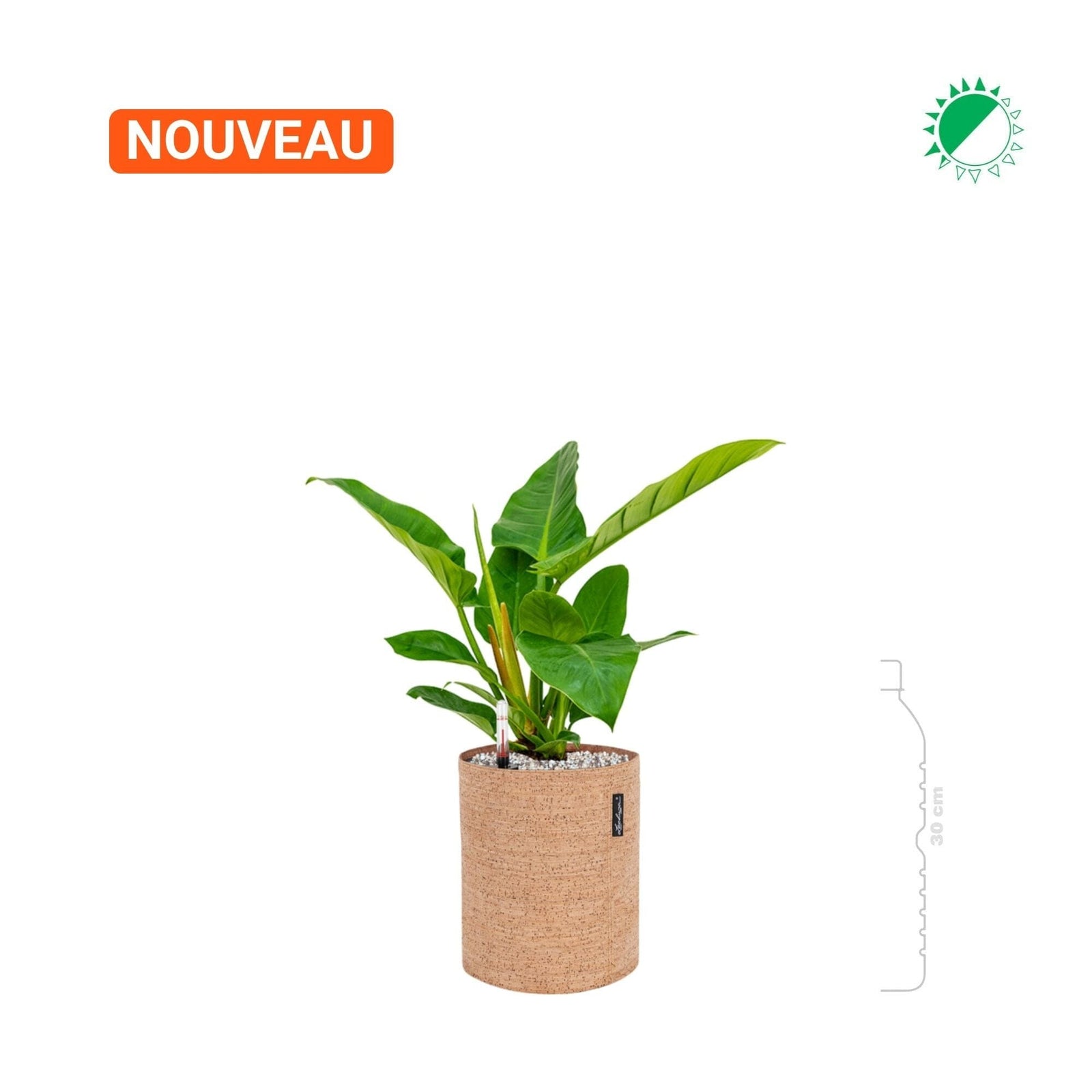 Philodendron 'Imperial Green' Lechuza Trendcover 23 Cork PLANTES ET POTS DE BUREAUX 