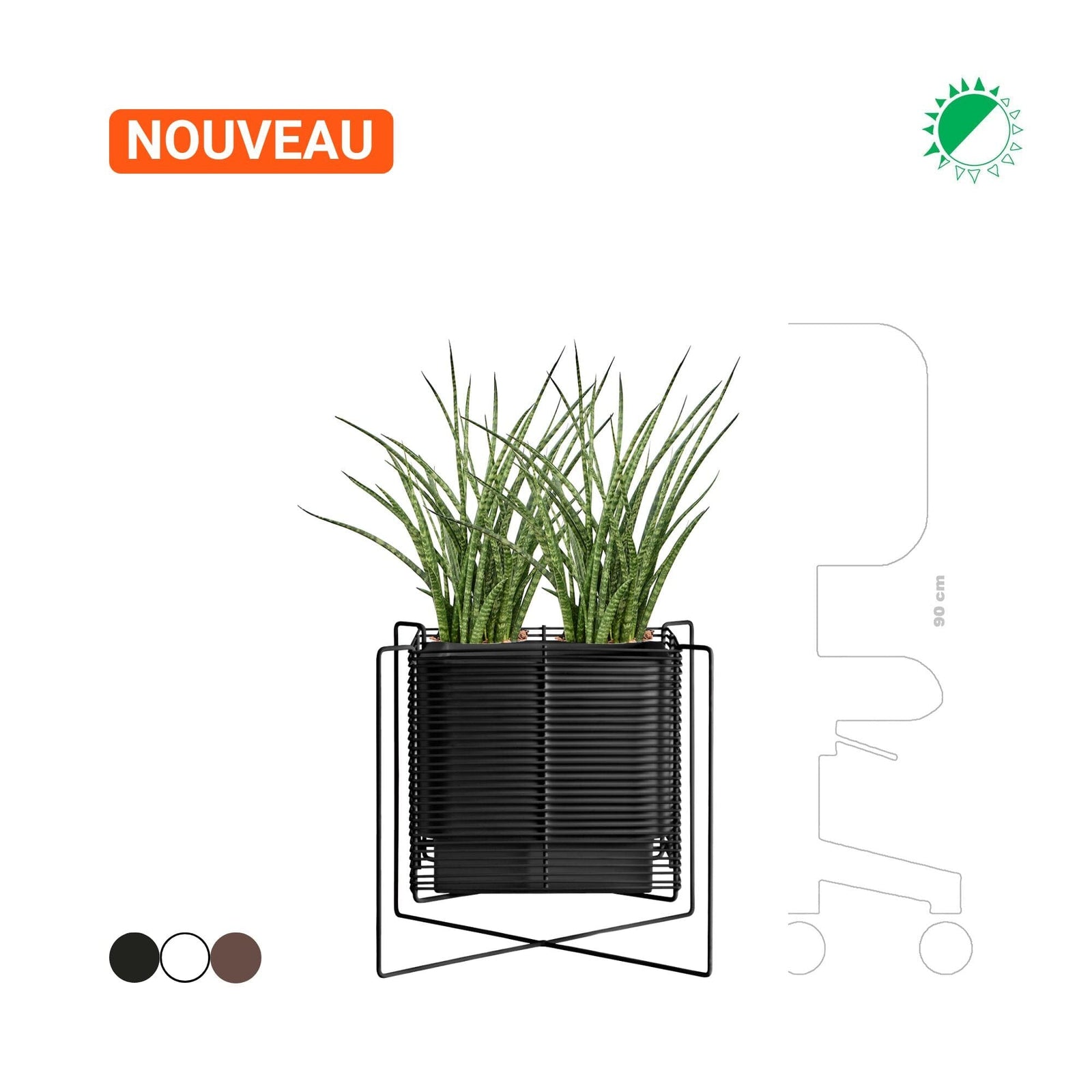 Sansevieria Hobby Flower Zen carré PLANTES ET POTS DE BUREAUX Location/Entretien (HT/mois) Noir 