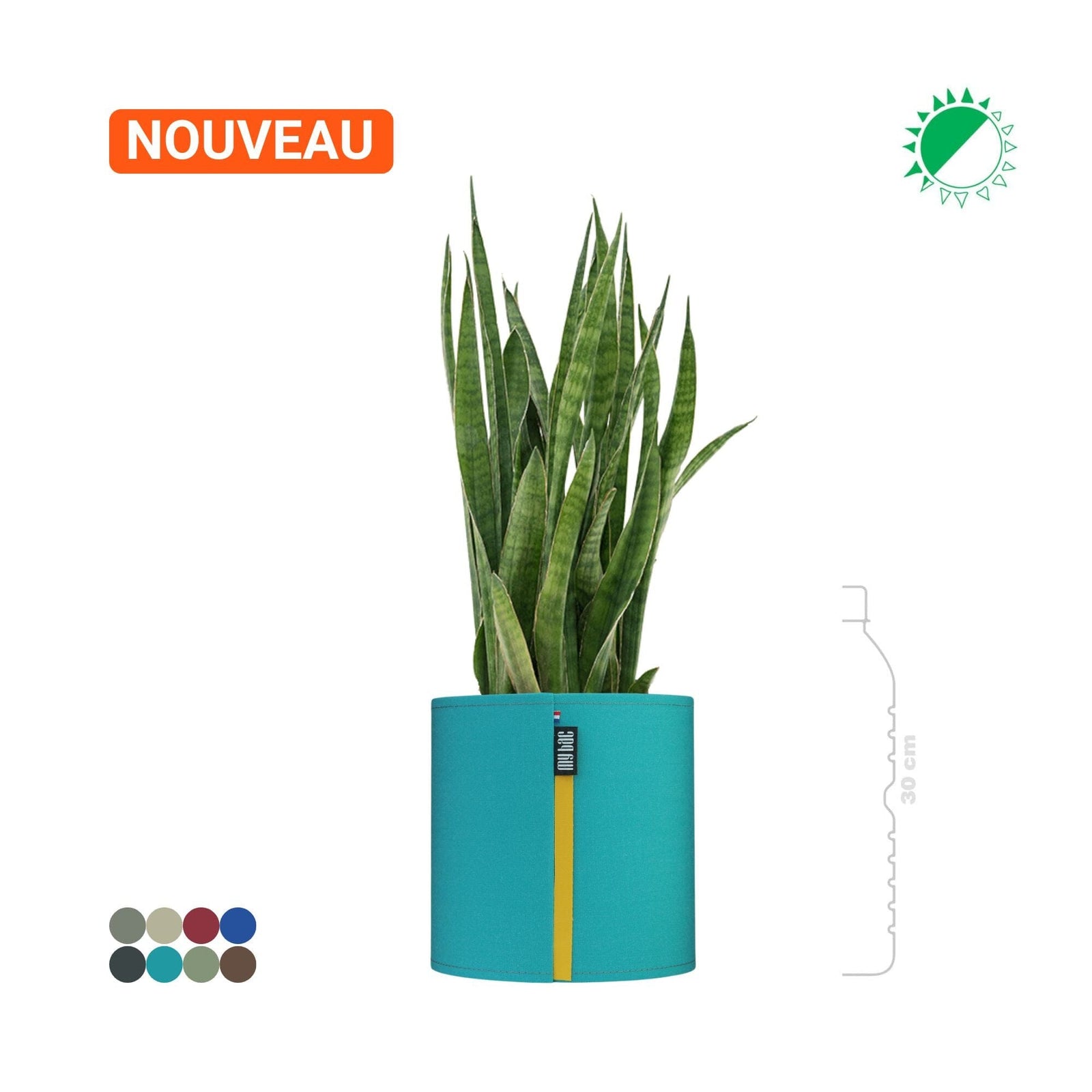 Sansevieria MyBac 21 PLANTES ET POTS DE BUREAUX Location/Entretien (HT/mois) Turquoise 