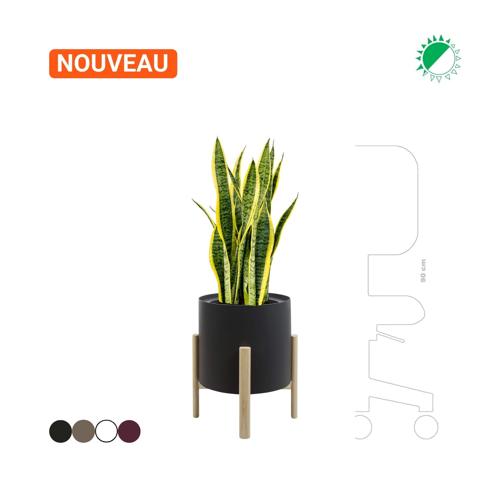 Sansevieria trifasciata Hobby Flower Ashi rond PLANTES ET POTS DE BUREAUX Location/Entretien (HT/mois) Noir 