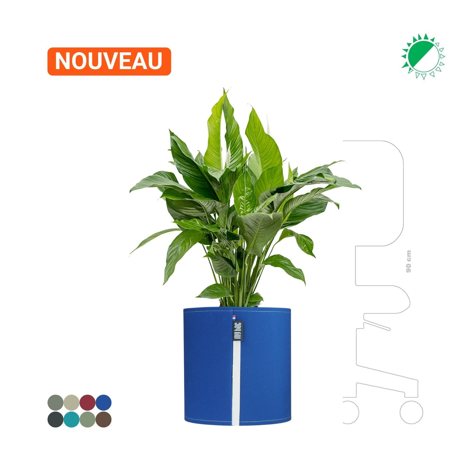 Spathiphyllum MyBac 40 PLANTES ET POTS DE BUREAUX Location/Entretien (HT/mois) Bleu 