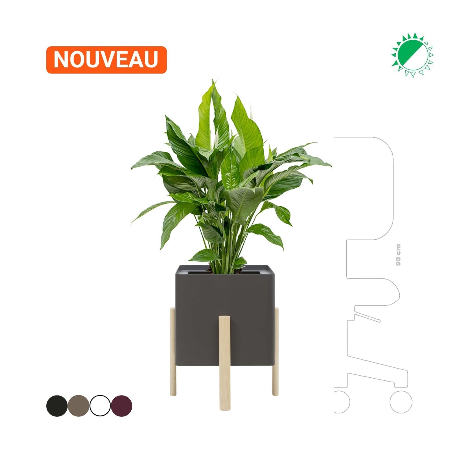 Spathiphyllum sensation Ashi Hobby Flower carré PLANTES ET POTS DE BUREAUX Location/Entretien (HT/mois) Noir 