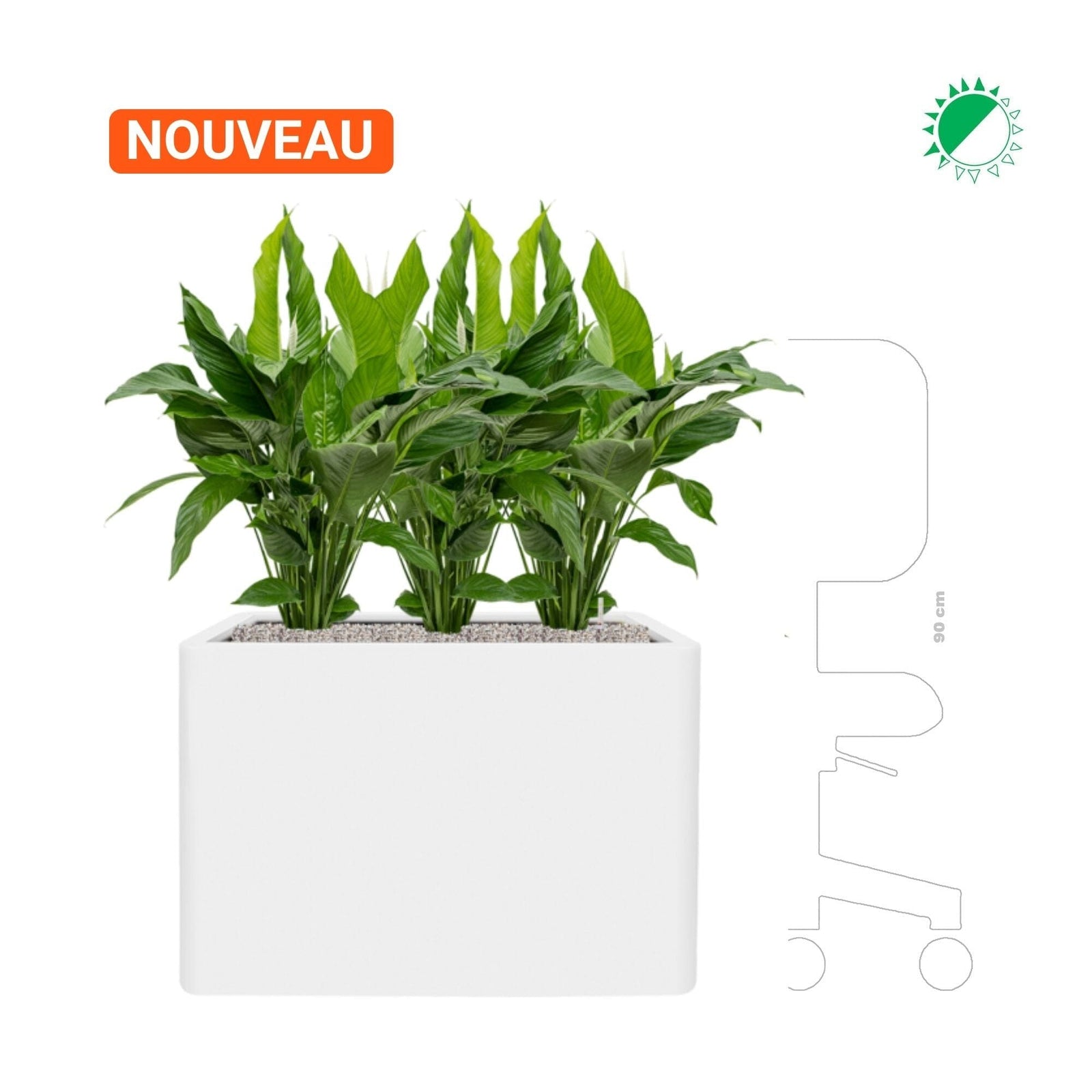 Spathiphyllum 'sweet lauretta' Pure59 PLANTES ET POTS DE BUREAUX 