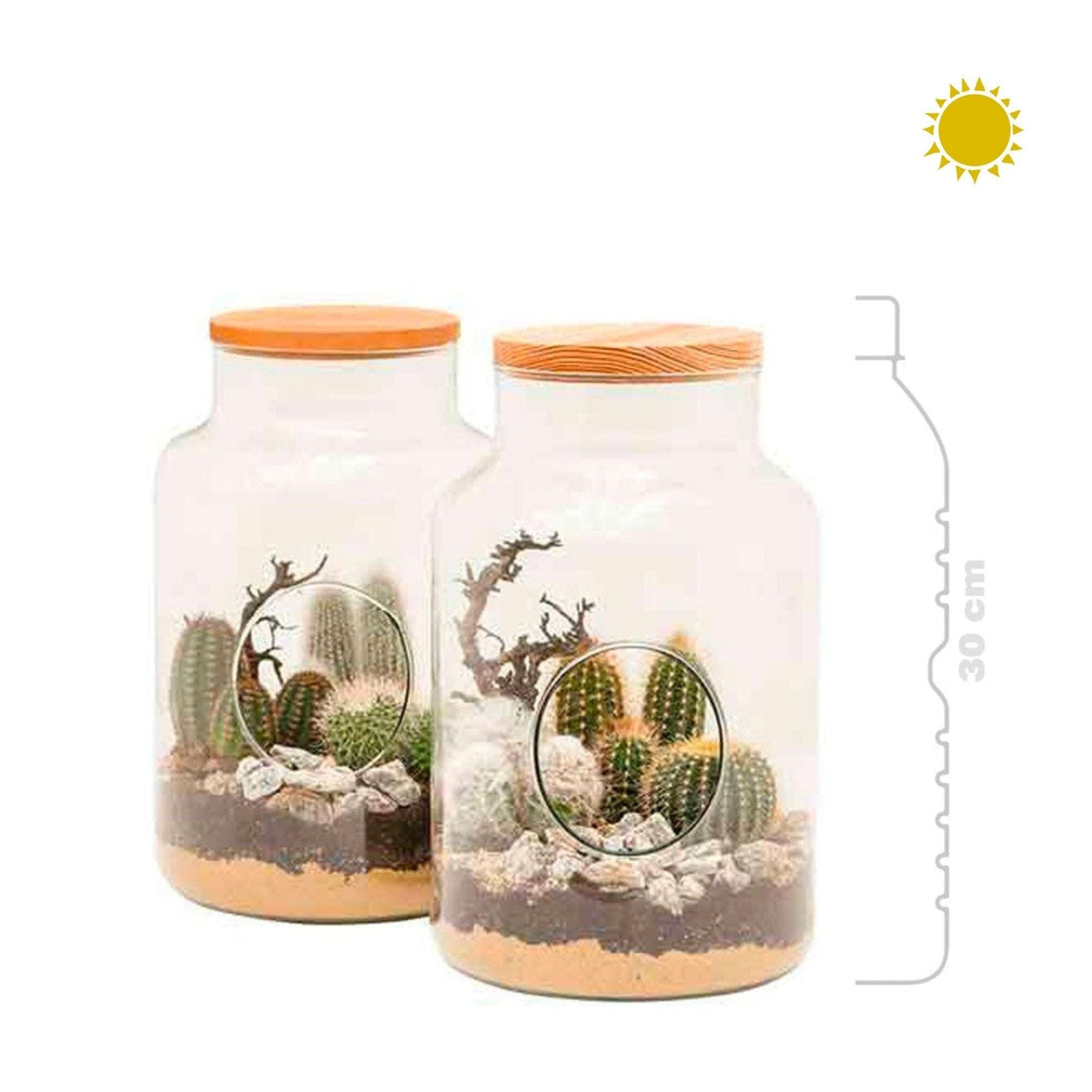 Terrarium PLANTES ET POTS DE BUREAUX Location/Entretien (HT/mois) Transparent 