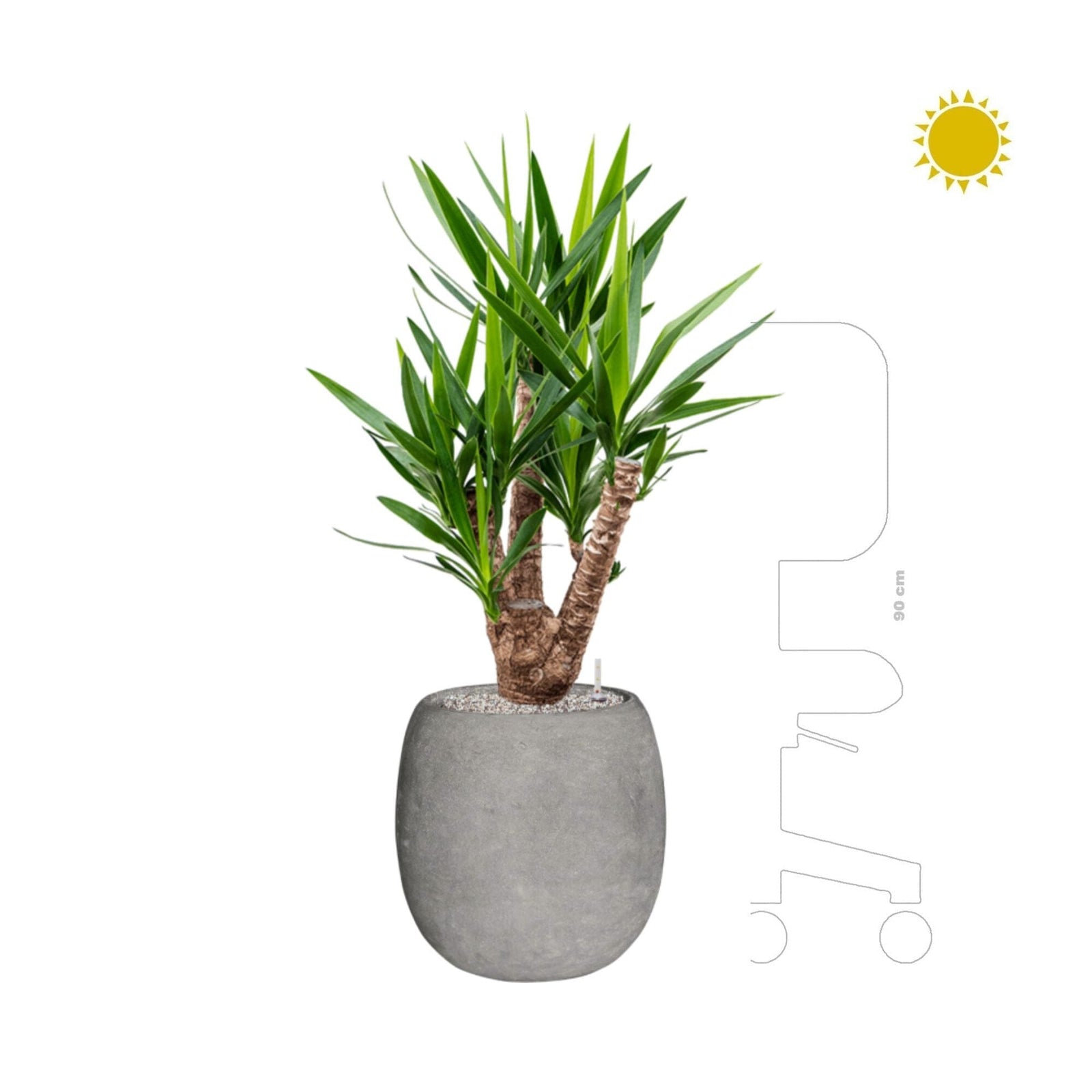 Yucca polystone gris