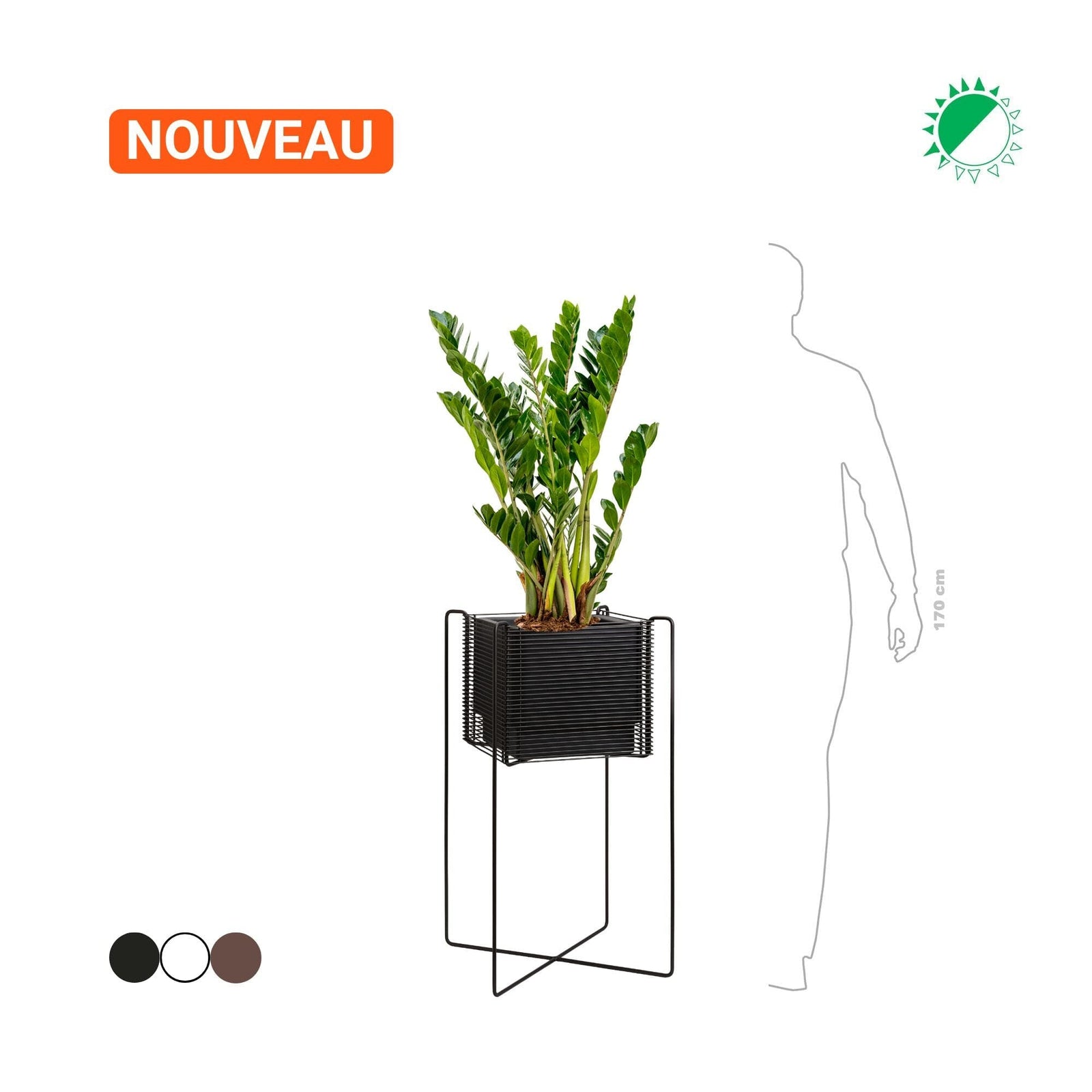 Zamioculcas Hobby Flower Zen carré haut PLANTES ET POTS DE BUREAUX Location/Entretien (HT/mois) Noir 