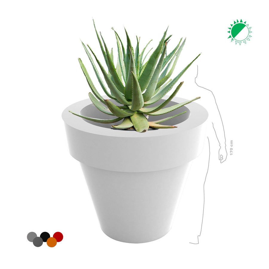 Aloe Maceta120 PLANTES ET POTS DE BUREAUX 