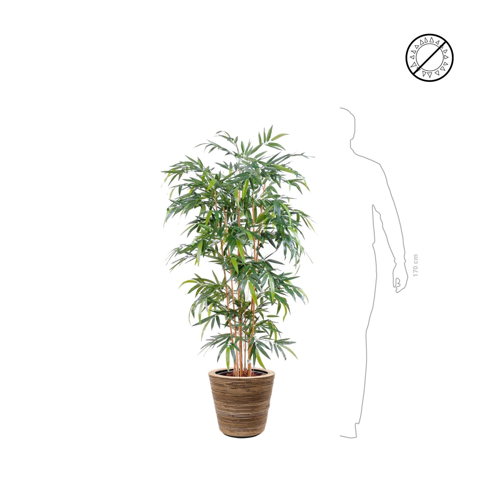 Bambou extérieur Rattan33 PLANTES ARTIFICIELLES 