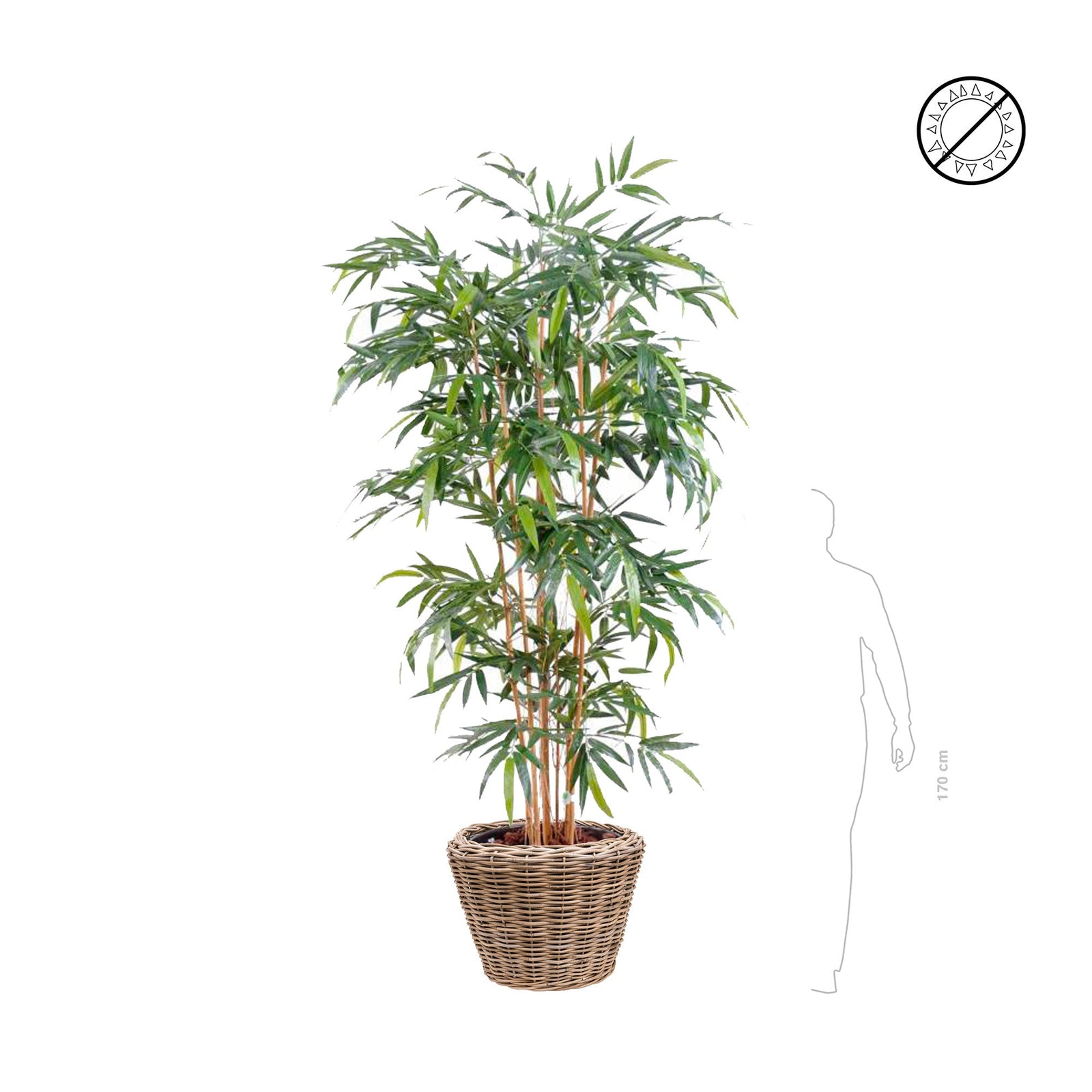 Bambou géant Osier42 PLANTES ARTIFICIELLES 