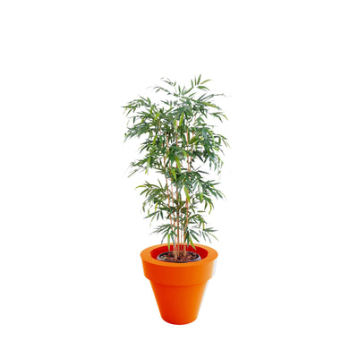 Bambou Maceta50 PLANTES ARTIFICIELLES Location/Entretien (HT/mois) Orange 