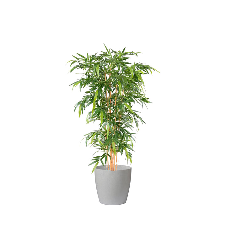 Bambou Regular43 PLANTES ARTIFICIELLES Location/Entretien (HT/mois) Sur mesure 