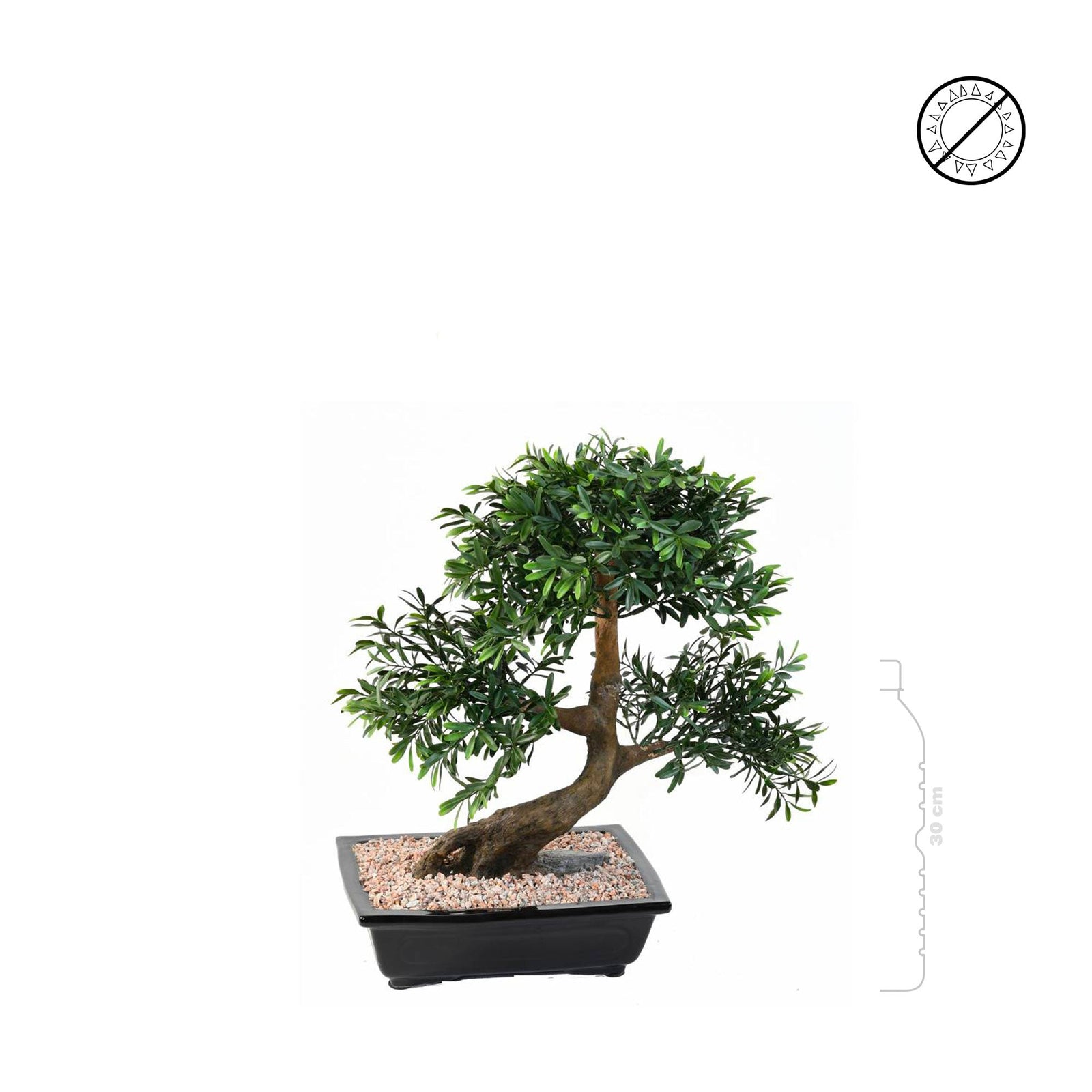 Bonsai black willow PLANTES ARTIFICIELLES 