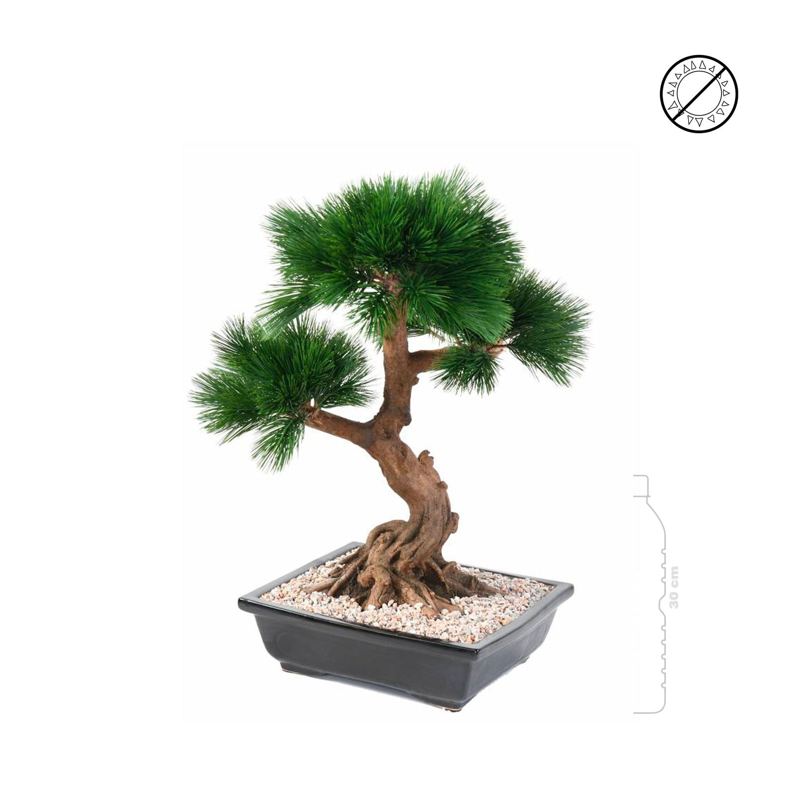 Bonsai pin en coupe PLANTES ARTIFICIELLES 