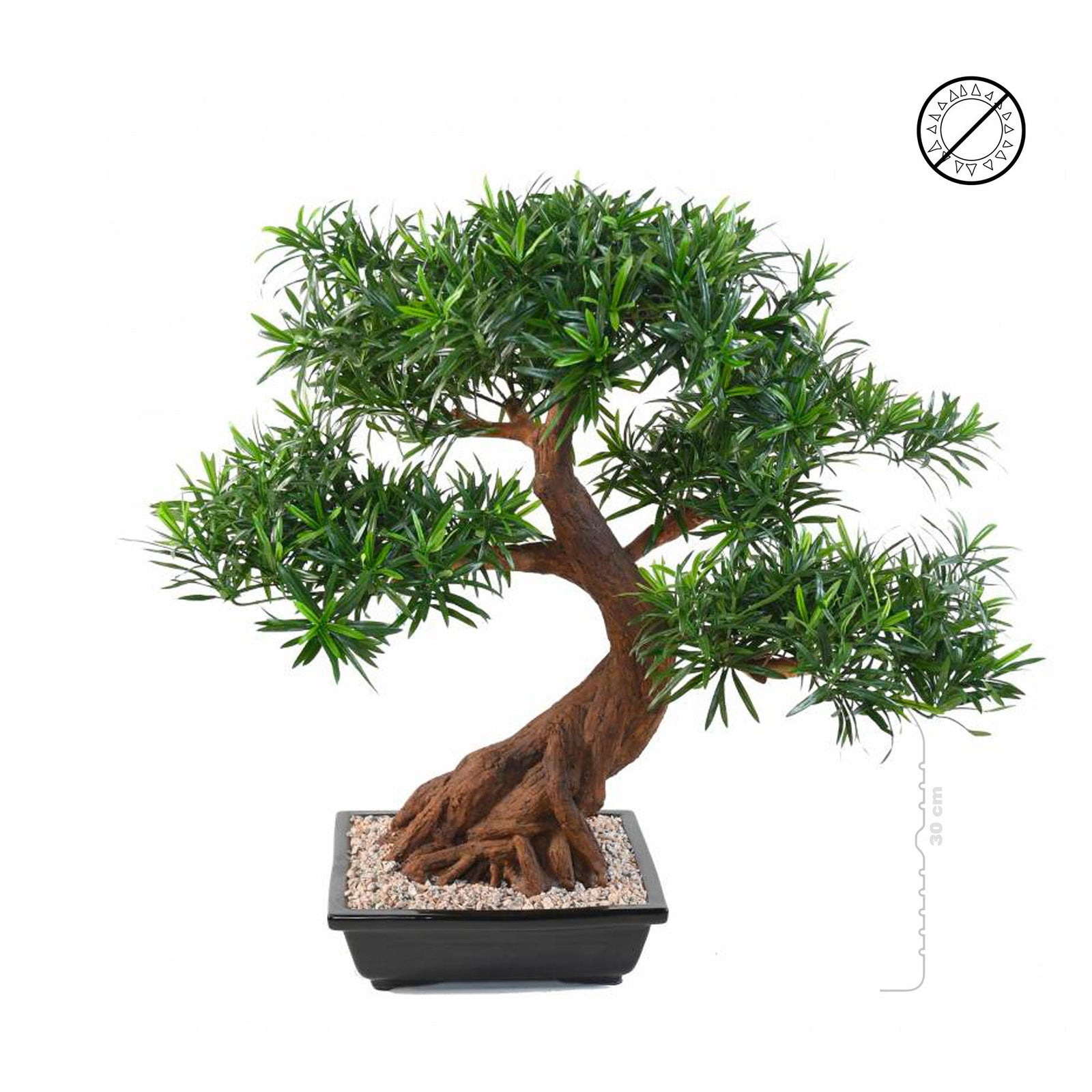 Bonsai podocarpus en coupe PLANTES ARTIFICIELLES 