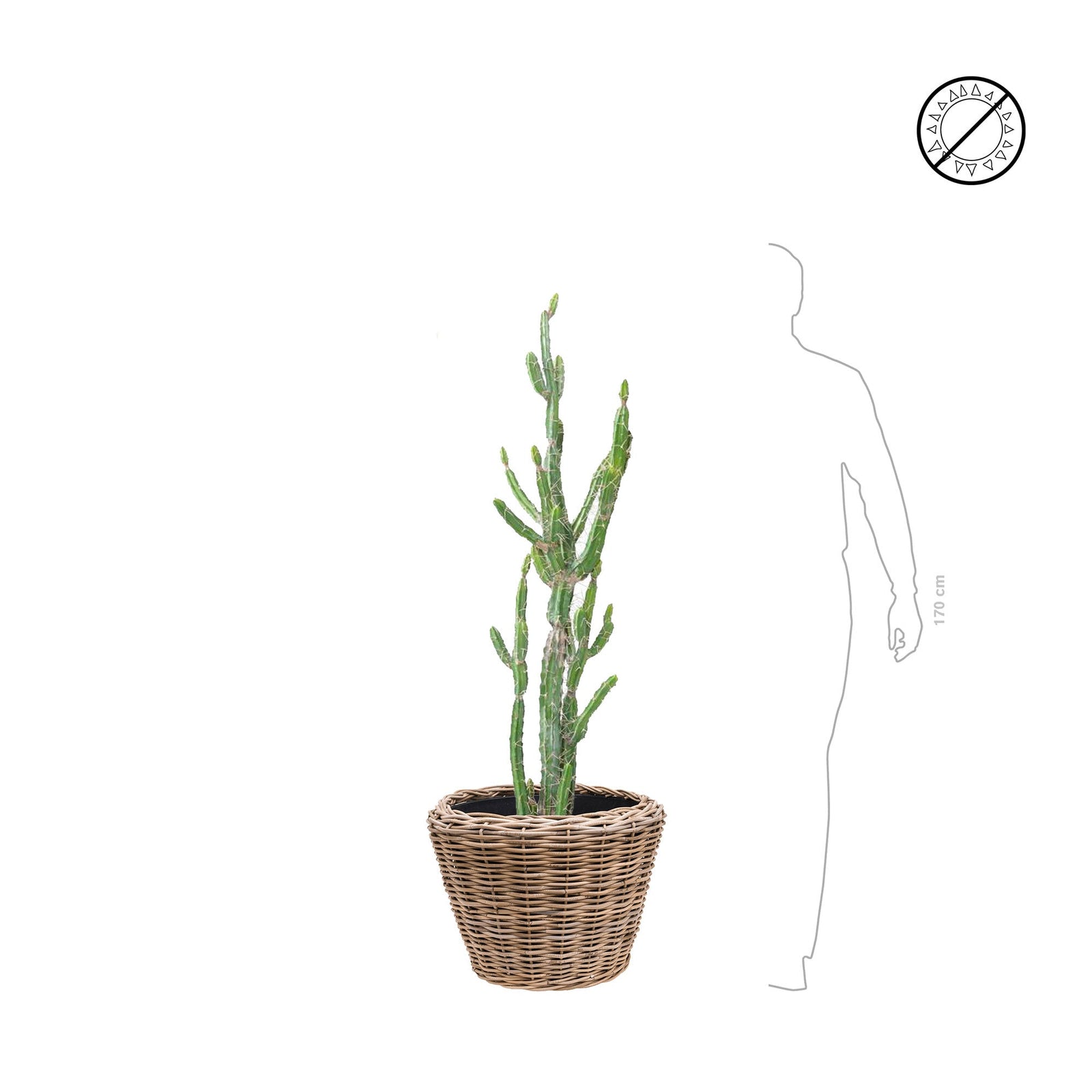 Cactus finger Osier42 PLANTES ARTIFICIELLES 
