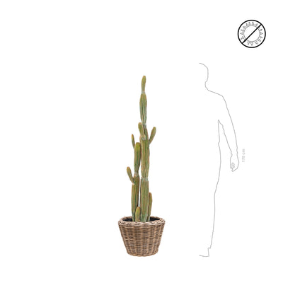 Cactus finger Rattan PLANTES ARTIFICIELLES 
