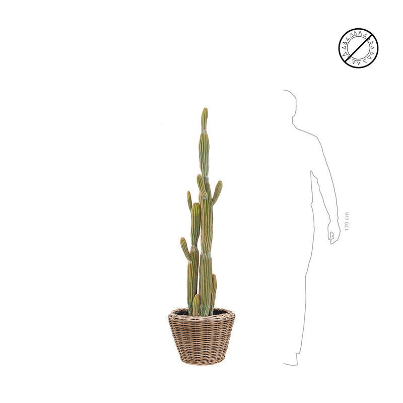 Cactus finger Rattan PLANTES ARTIFICIELLES 
