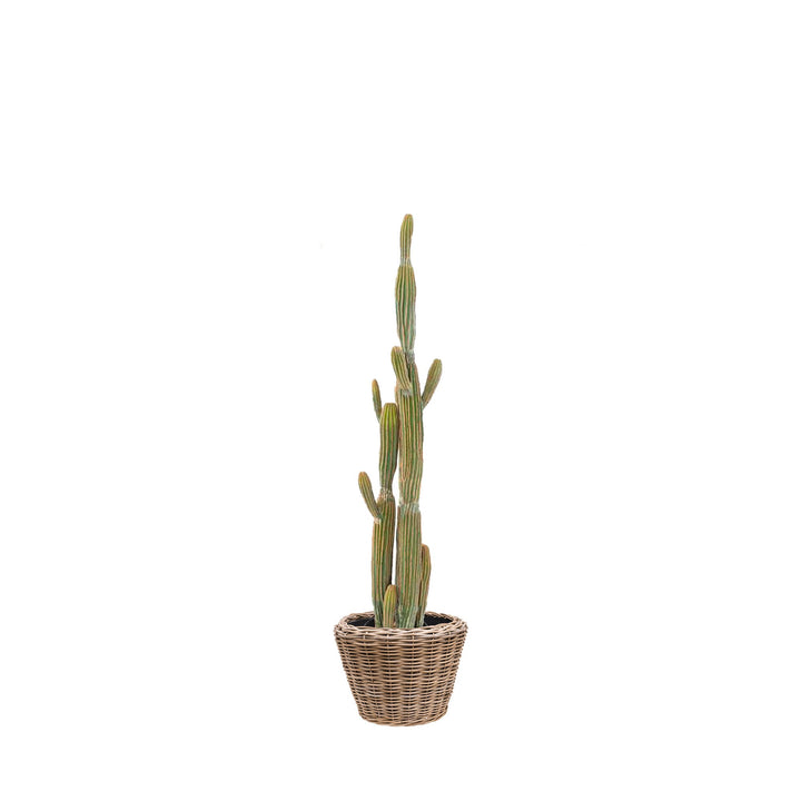 Cactus finger Rattan PLANTES ARTIFICIELLES Achat (HT) Naturel 