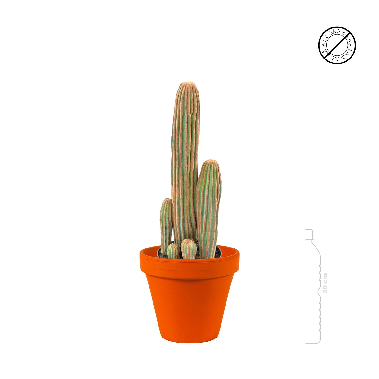 Cactus finger Terra Cotta antique PLANTES ARTIFICIELLES 