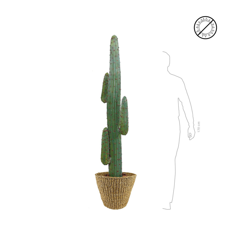 Cactus mexico Jip34 PLANTES ARTIFICIELLES 