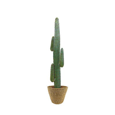 Cactus mexico Jip34 PLANTES ARTIFICIELLES Location/Entretien (HT/mois) Naturel 