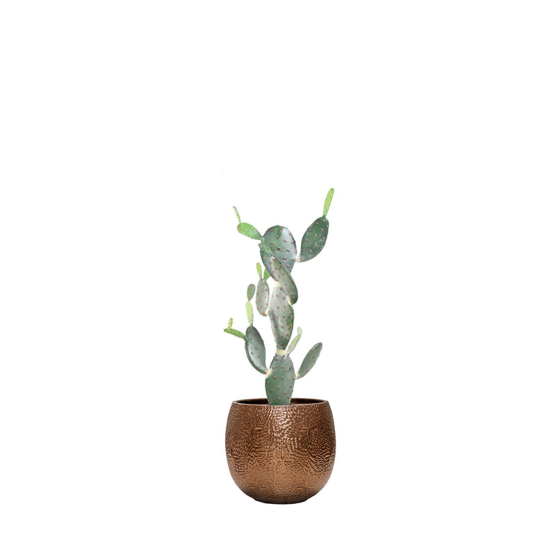 Cactus opuntia Marly54 PLANTES ARTIFICIELLES Location/Entretien (HT/mois) Or 