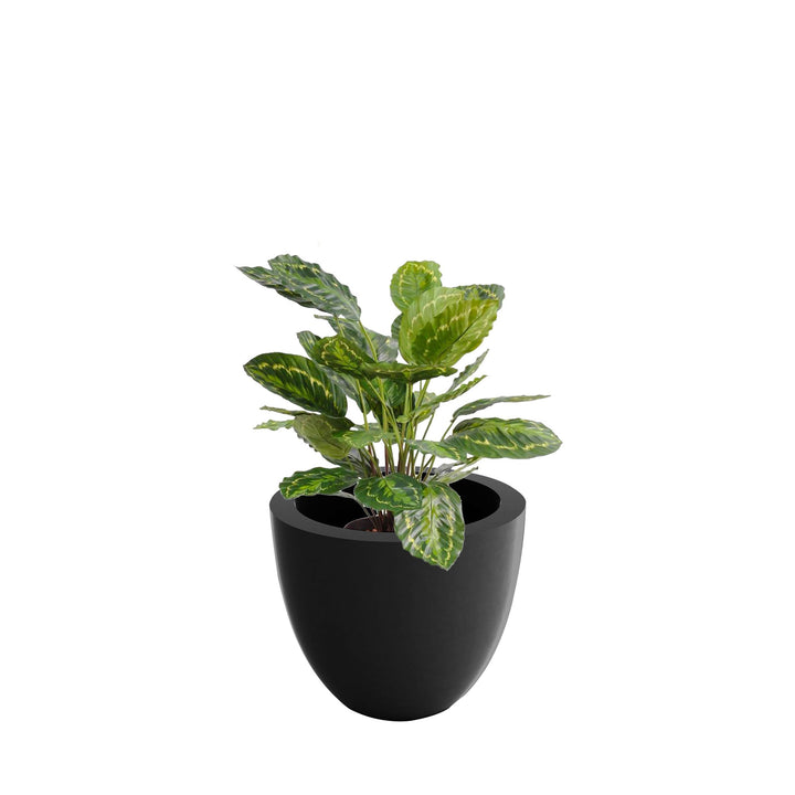 Calathea cuenco40 PLANTES ARTIFICIELLES Location/Entretien (HT/mois) Anthracite 