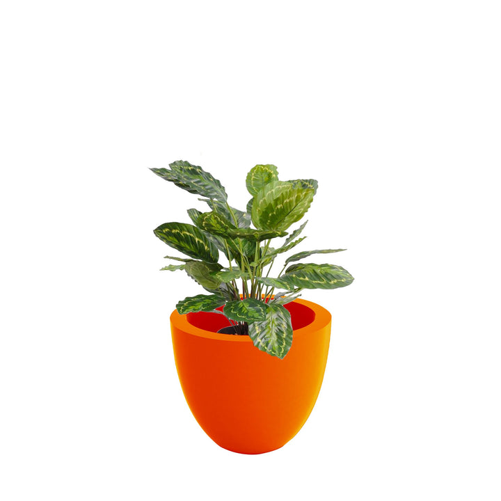 Calathea cuenco40 PLANTES ARTIFICIELLES Location/Entretien (HT/mois) Orange 