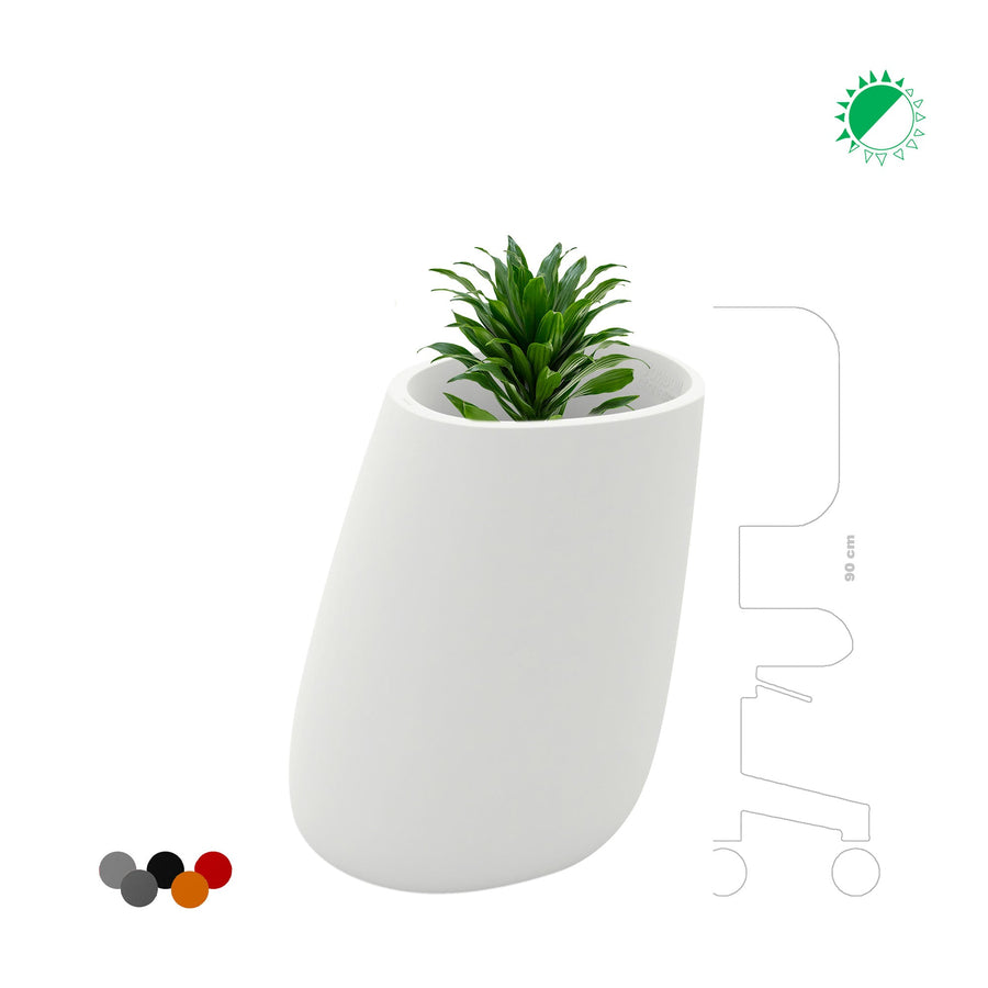 Dracaena fragrans Stone70 PLANTES ET POTS DE BUREAUX 