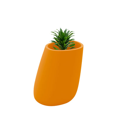 Dracaena fragrans Stone70 PLANTES ET POTS DE BUREAUX Location/Entretien (HT/mois) Orange 