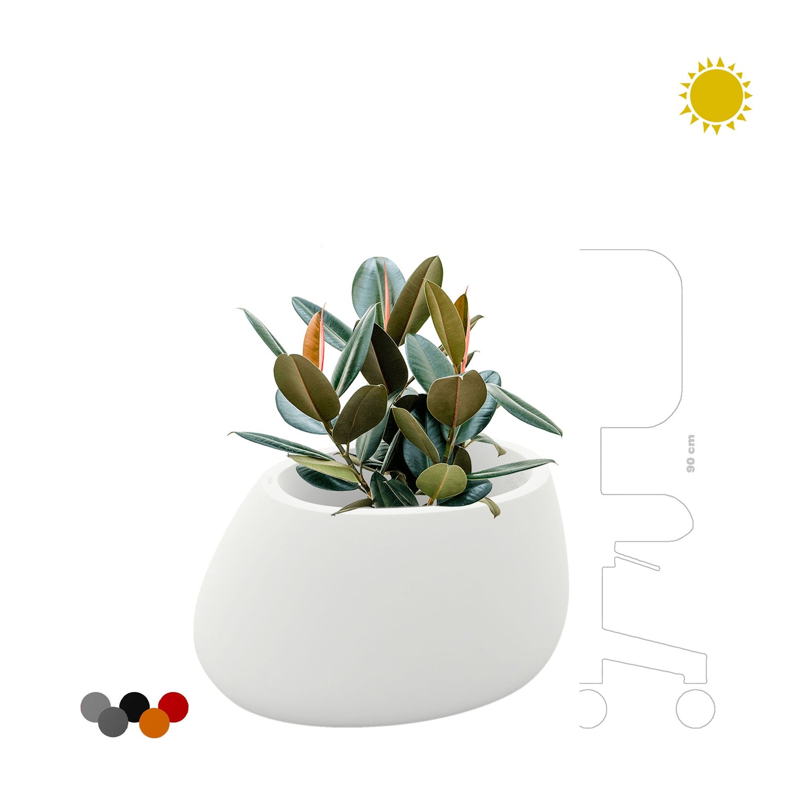 Elastica Stone80 PLANTES ET POTS DE BUREAUX 