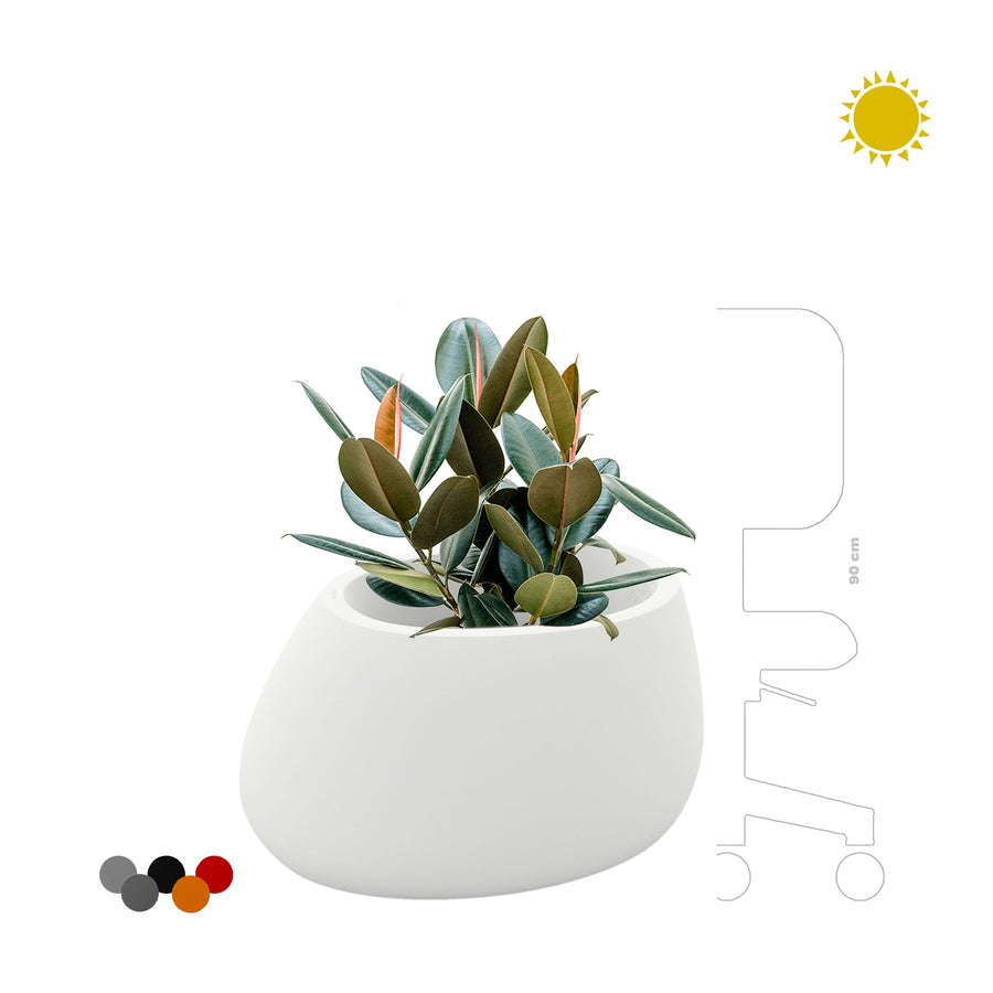 Elastica Stone80 PLANTES ET POTS DE BUREAUX 