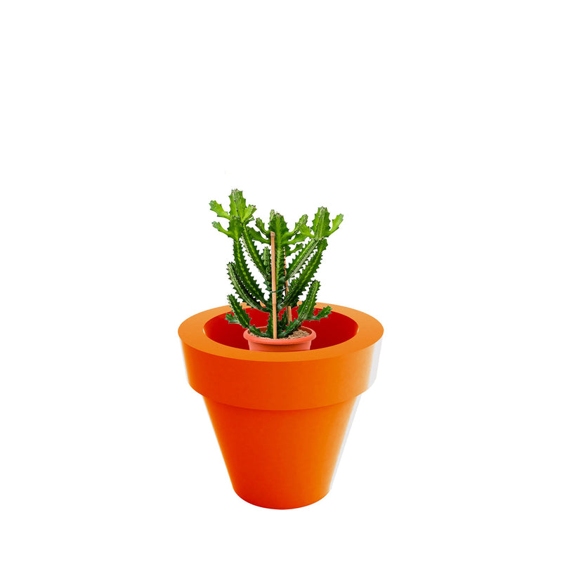 Euphorbia Maceta80 PLANTES ET POTS DE BUREAUX Location/Entretien (HT/mois) Orange 