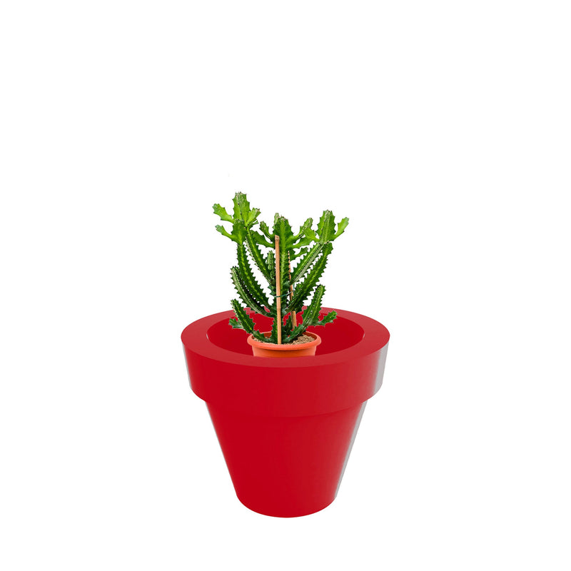 Euphorbia Maceta80 PLANTES ET POTS DE BUREAUX Location/Entretien (HT/mois) Rouge 